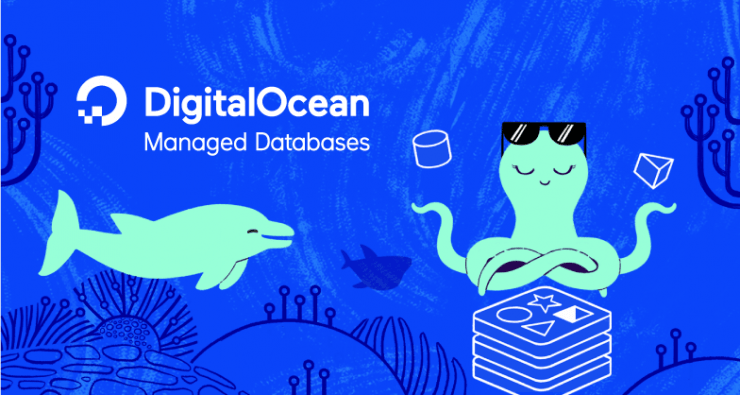 install-configure-mysql-database-digitalocean